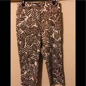 Jones New York Signature Capri Pants